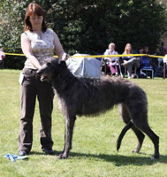 BRADLEYABBI ARDENNER